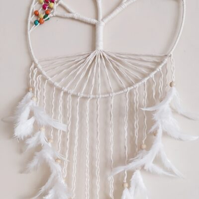 Dream Catcher